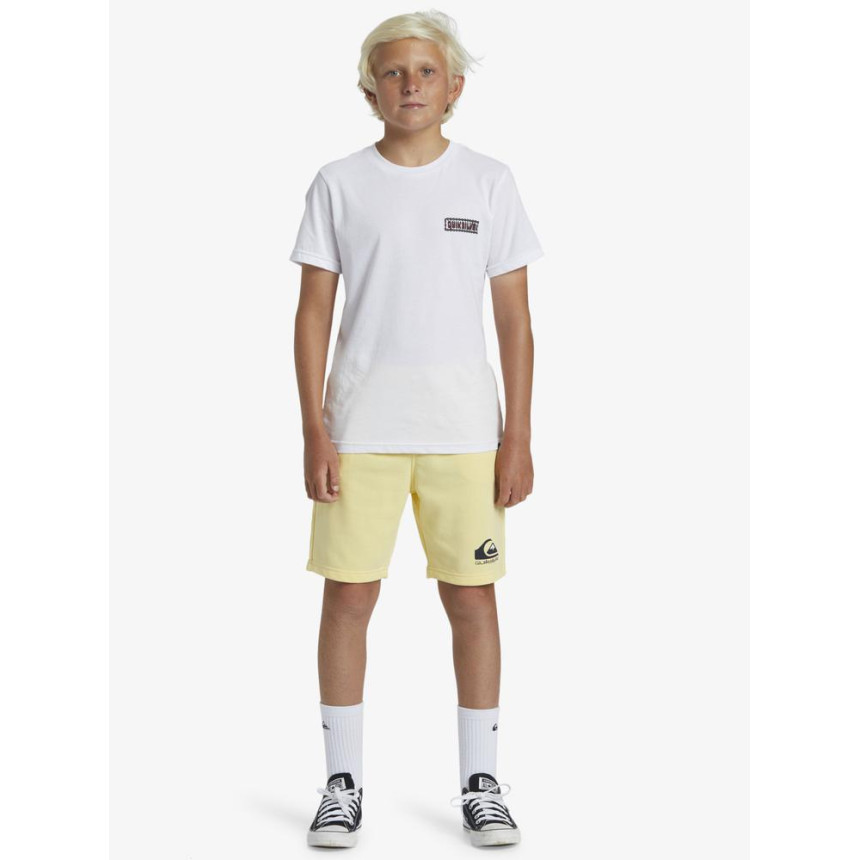 Pantalón Quiksilver Easy Day Para Niños
