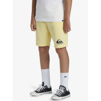 Pantalón Quiksilver Easy Day Para Niños