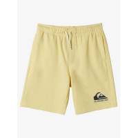 Pantalón Quiksilver Easy Day Para Niños