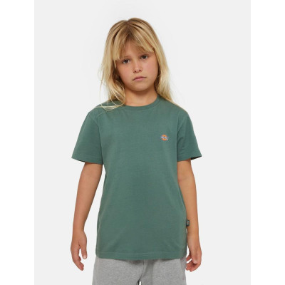 Camiseta Dickies Mapleton Para Niños