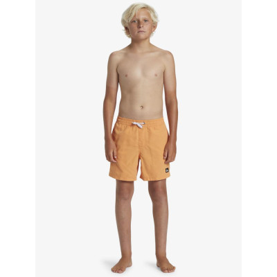 Bañador Quiksilver Everyday Solid Para Niños 