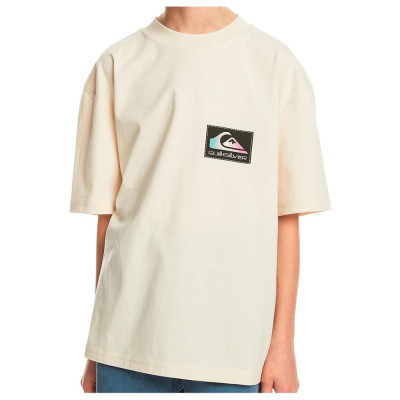 Camiseta Quiksilver Back Flash Para Niños