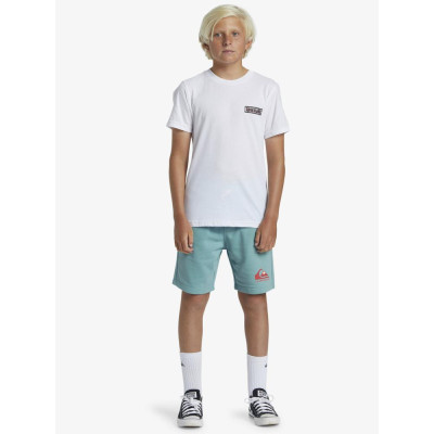 Pantalón Quiksilver Easy Day Para Niños 