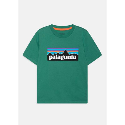 Camiseta Patagonia Logo Para Niño