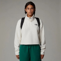 Mochila The North Face Borealis Mini