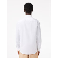 Camisa Lacoste De Algodón Premium Para Hombre