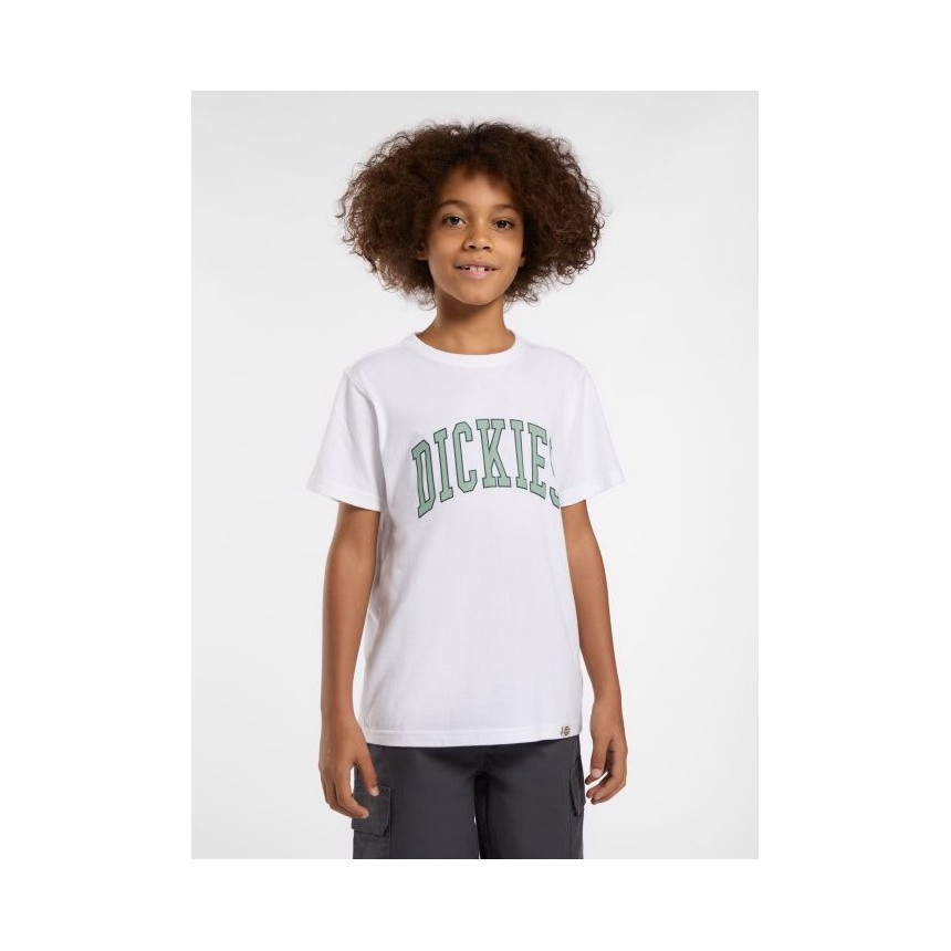 Camiseta Dickies Aitkin Para Niños 
