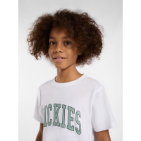 Camiseta Dickies Aitkin Para Niños