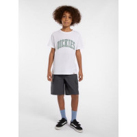 Camiseta Dickies Aitkin Para Niños