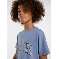 Camiseta Dickies Aitkin Para Niños