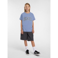 Camiseta Dickies Aitkin Para Niños