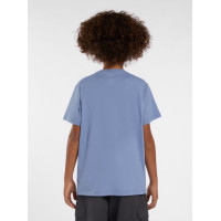 Camiseta Dickies Aitkin Para Niños