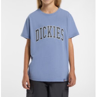 Camiseta Dickies Aitkin Para Niños