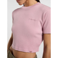 Camiseta Dickies Plentywood Para Mujer
