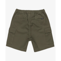 Pantalón Corto Quiksilver Taxer Para Niños