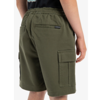 Pantalón Corto Quiksilver Taxer Para Niños