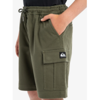 Pantalón Corto Quiksilver Taxer Para Niños