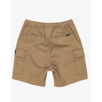 Pantalón Corto Quiksilver Taxer Para Niños