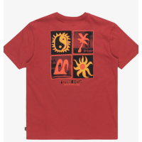 Camiseta Billabong Twin Peaks Para Niños