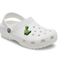 Accesorio Crocs Boys Rule Green Dino