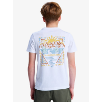 Camiseta Quiksilver Ev Desert Para Niños