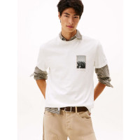 Camiseta Tommy Hilfiger Regular Photo Para Hombre 