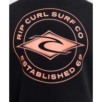 Sudadera Rip Curl Staple Hood Para Hombre