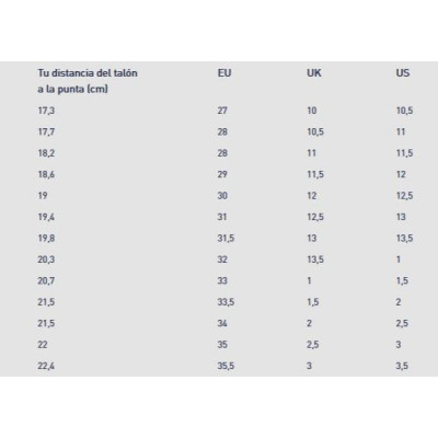 Zapas Converse Chuck Taylor All Star Jungle Cats 