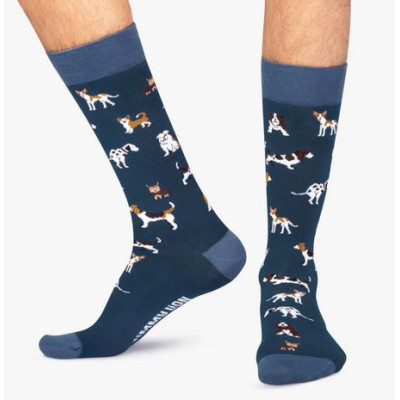 Calcetines Jimmy Lion Dogs Unisex Azul 
