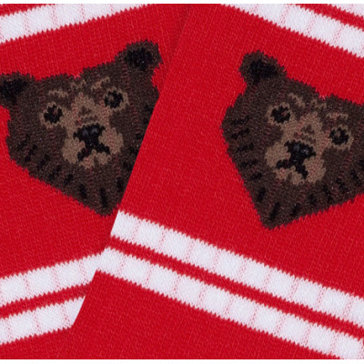 Calcetines Jimmy Lion Athletic Bear Para Niños