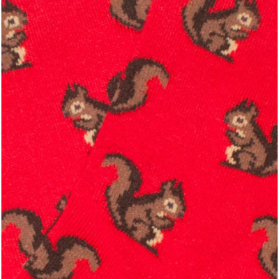 Calcetines Jimmy Lion Squirrels Para Niños en Rojo