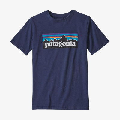 Camiseta Patagonia Graphic Para Niños 