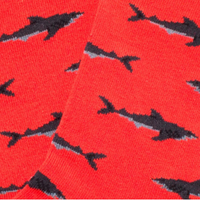 Calcetines Jimmy Lion Sharks Para Niños en Rojo 