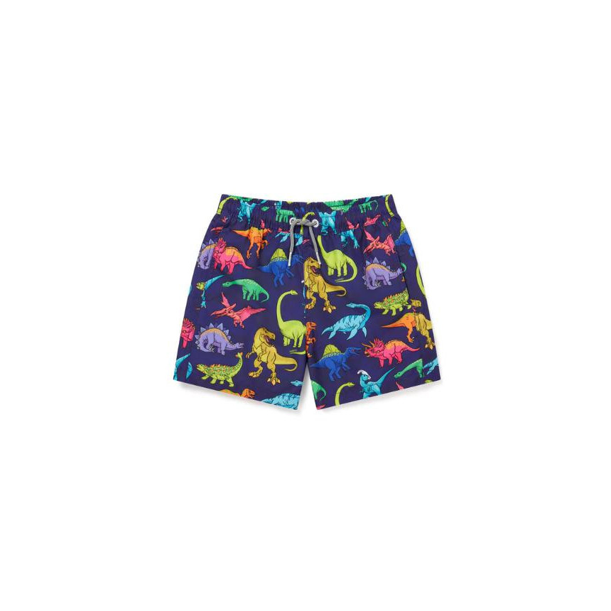 Bañador Boardies Vibrant Dino Para Niños 